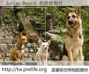 Zoltan Boscik 的前世相片