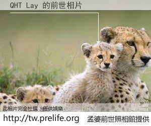QHT Lay 的前世相片