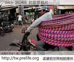 SHYA-26LH05 的前世相片