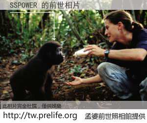 SSPOWER 的前世相片