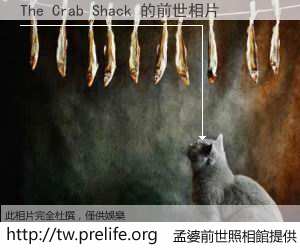 The Crab Shack 的前世相片