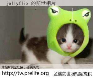 jellyflix 的前世相片