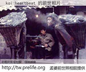 koi heartbeat 的前世相片