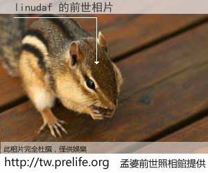linudaf 的前世相片