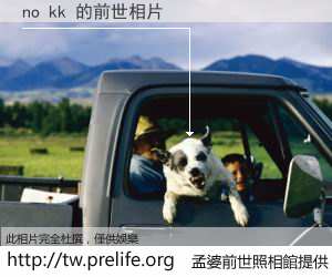 no kk 的前世相片