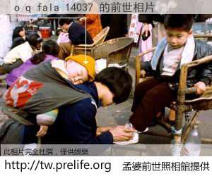 o q fala 14037 的前世相片