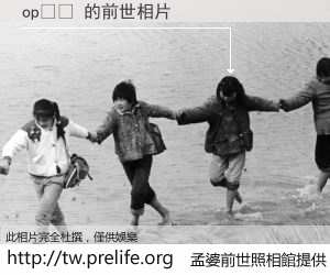 op가자 的前世相片