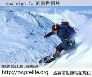 opa signifc 的前世相片