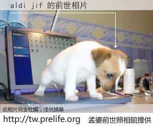 aldi jif 的前世相片