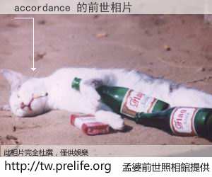 accordance 的前世相片