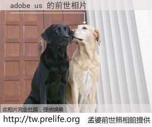 adobe us 的前世相片