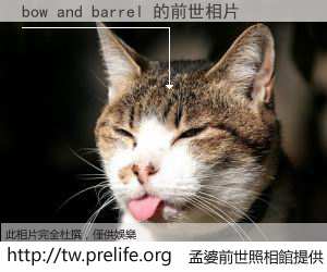 bow and barrel 的前世相片