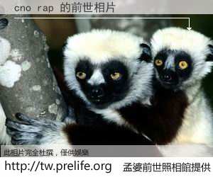 cno rap 的前世相片