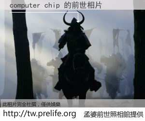 computer chip 的前世相片