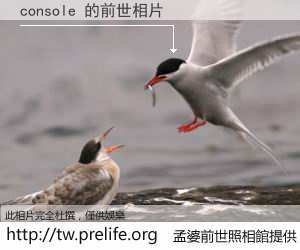 console 的前世相片