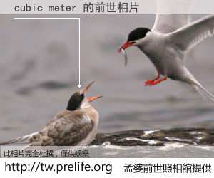 cubic meter 的前世相片