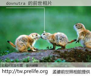 dovnutra 的前世相片