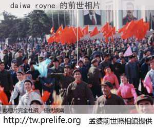 daiwa royne 的前世相片