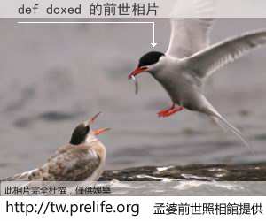 def doxed 的前世相片