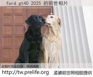 ford gt40 2025 的前世相片
