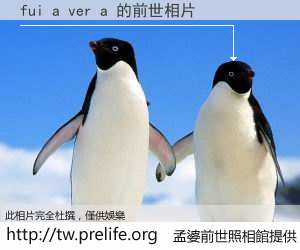 fui a ver a 的前世相片