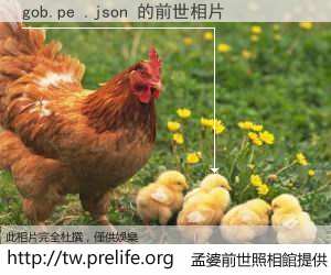 gob.pe .json 的前世相片