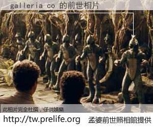 galleria co 的前世相片
