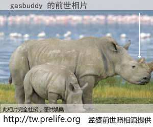 gasbuddy 的前世相片