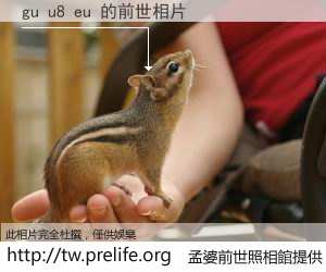 gu u8 eu 的前世相片