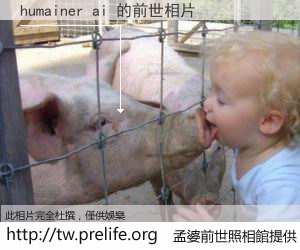 humainer ai 的前世相片