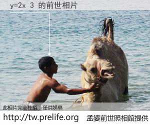 y=2x 3 的前世相片