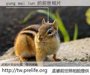yung wai lun 的前世相片