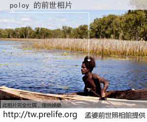poloy 的前世相片