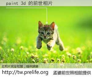 paint 3d 的前世相片