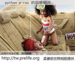 python p-roc 的前世相片
