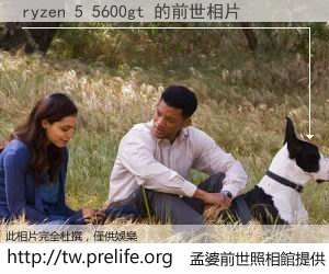 ryzen 5 5600gt 的前世相片