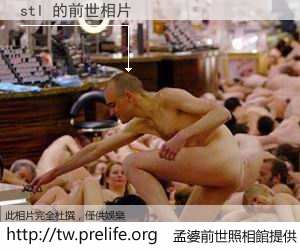 stl 的前世相片