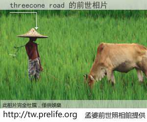 threecone road 的前世相片