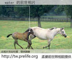 water 的前世相片