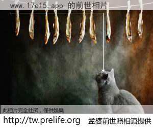 www.17c15.app 的前世相片