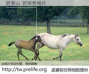 許育山 的前世相片