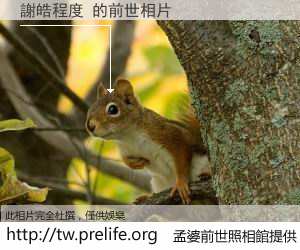 謝皓程度 的前世相片