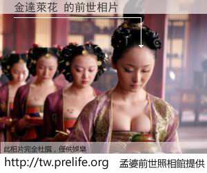 金達萊花 的前世相片