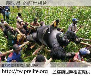 陳法易 的前世相片
