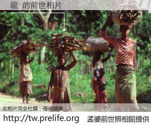 龍 的前世相片