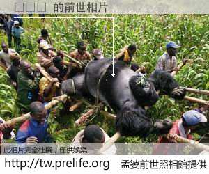 홍준성 的前世相片