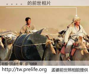 。。。。 的前世相片