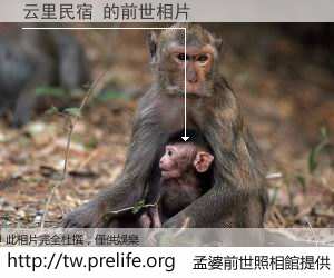 云里民宿 的前世相片