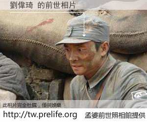 劉偉琦 的前世相片