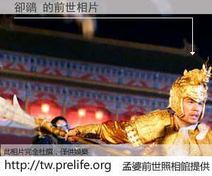 卻鶸 的前世相片